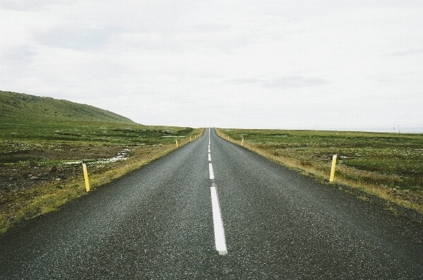 風景 道 草 地平線 写真