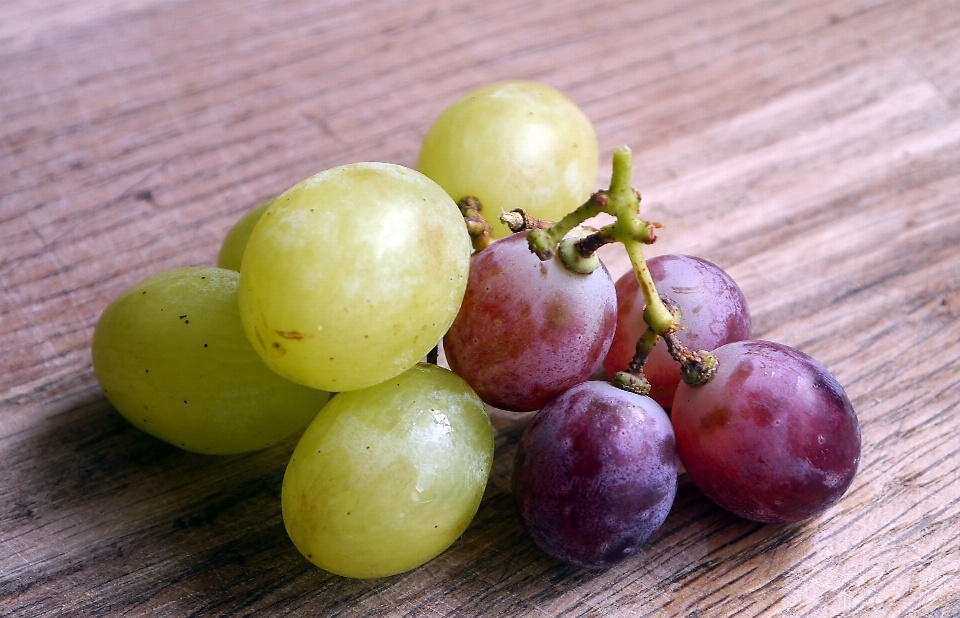 Nature plant grape bunch