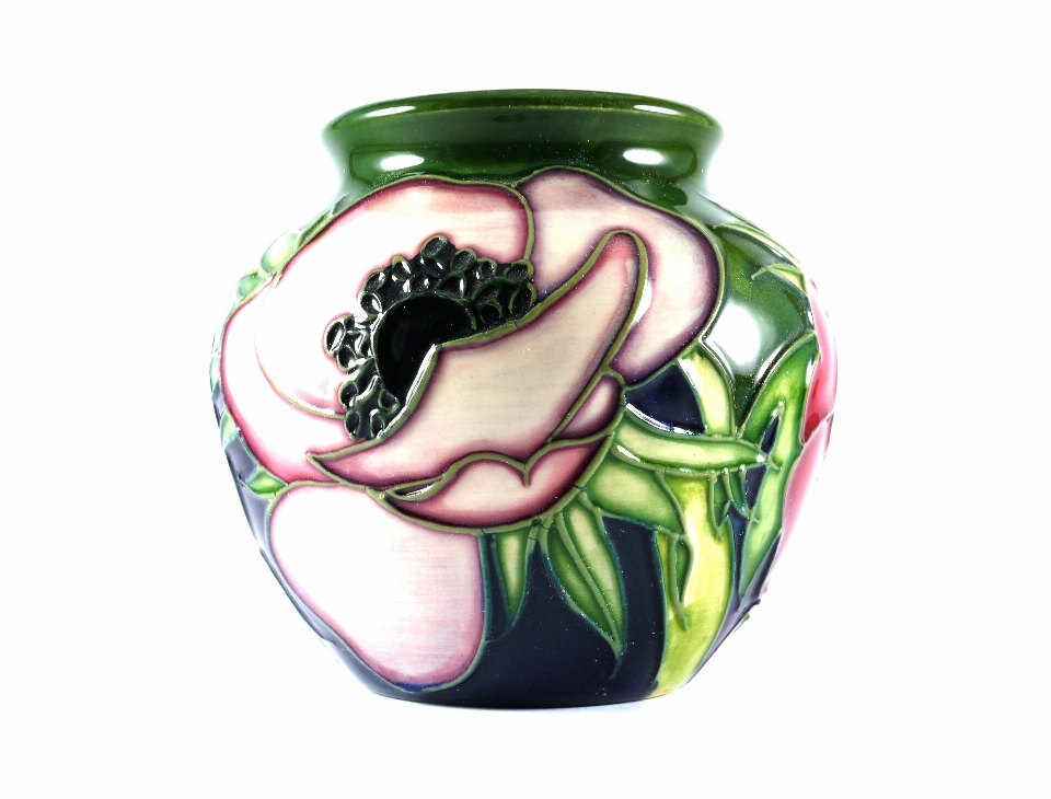 Fiore bicchiere pentola vaso