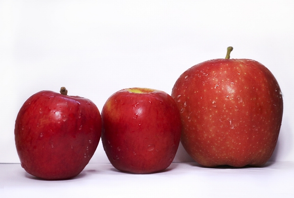 Apple tree nature growth Photo