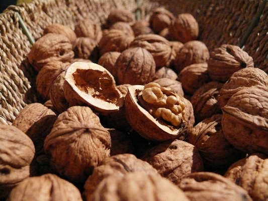 Food produce brown nut Photo