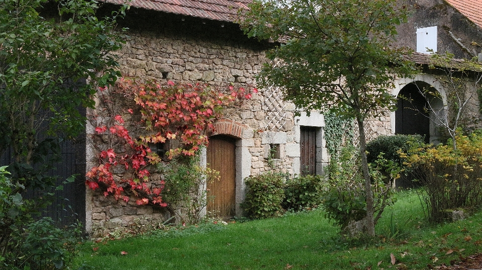 Campo casa flor edificio