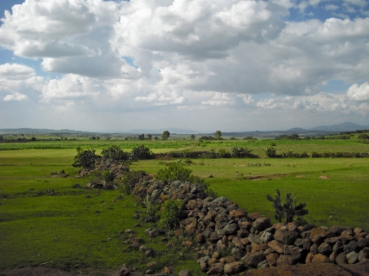 Landscape coast nature grass Photo