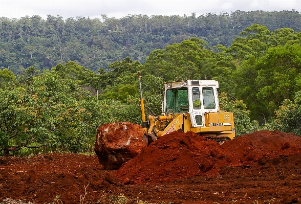 Foto Hutan rock bidang kendaraan