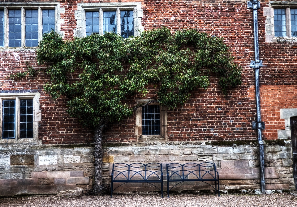 Nature architecture loger fenêtre