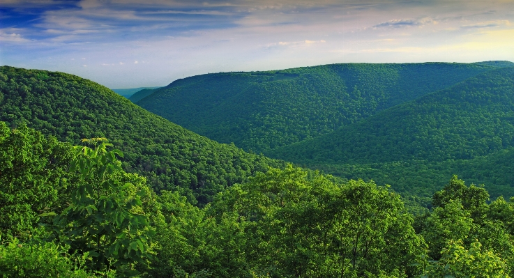 Foto Paisaje árbol naturaleza bosque