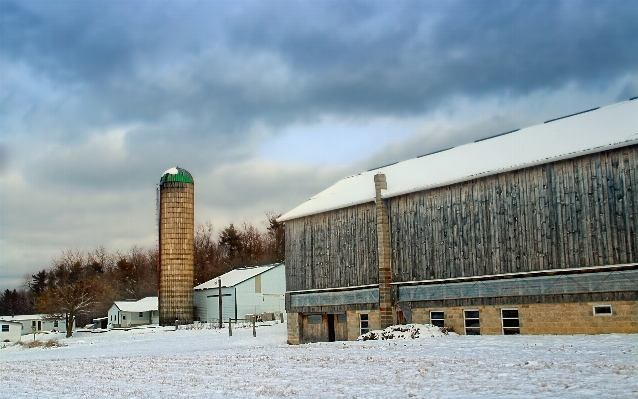 Snow winter architecture sky Photo