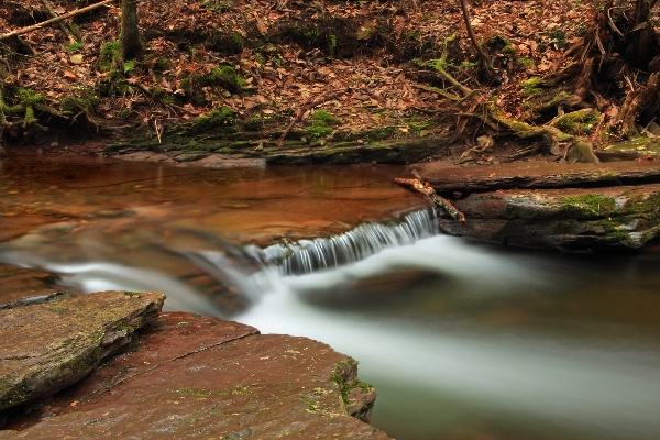 Landscape tree water nature Photo