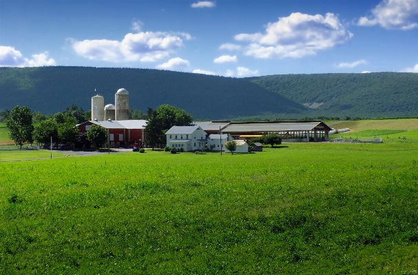 Landscape grass horizon mountain Photo