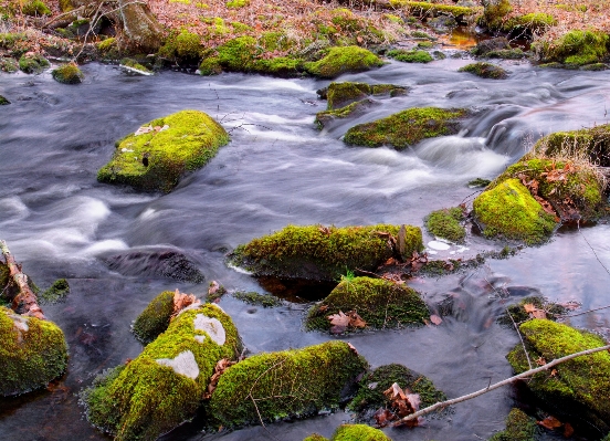 Landscape nature rock creek Photo