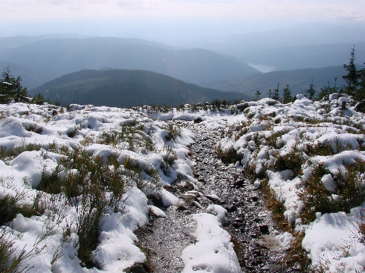 Wilderness mountain snow winter Photo