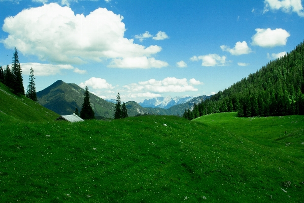 Landscape nature grass wilderness Photo