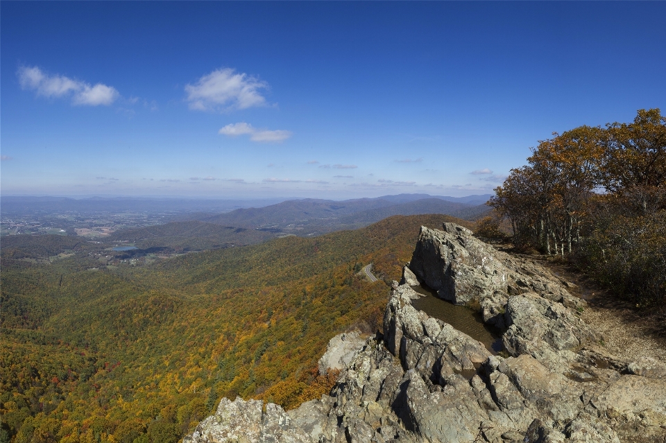 Landscape nature forest rock