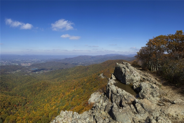 Landscape nature forest rock Photo