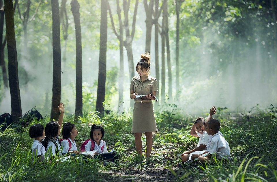 Forest outdoor book read