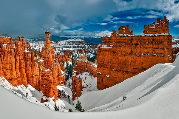 Landscape nature forest rock Photo