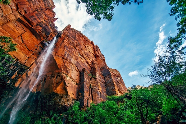 Landscape tree water nature Photo