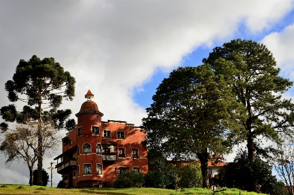 Foto Paisaje árbol naturaleza cielo