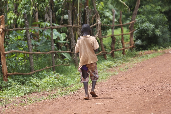 Forest people country village Photo