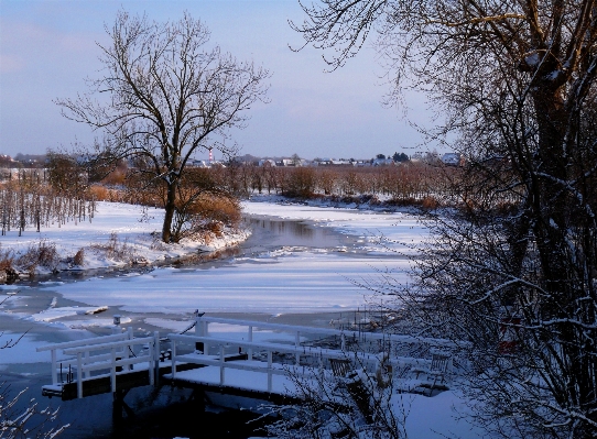 Landscape tree water nature Photo