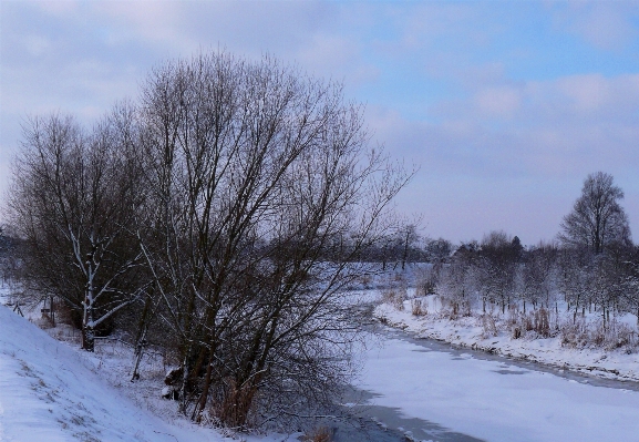 Landscape tree water nature Photo