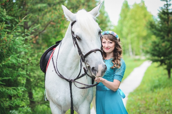 Foto Foresta ragazza cavallo stallone