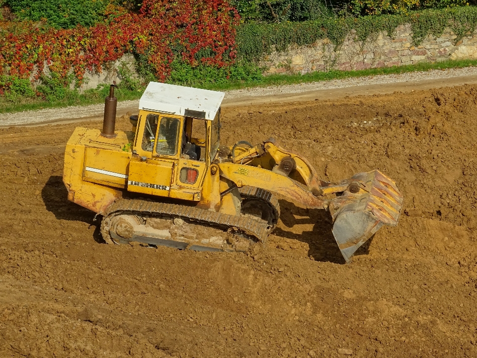 Trabajar bosque arena campo