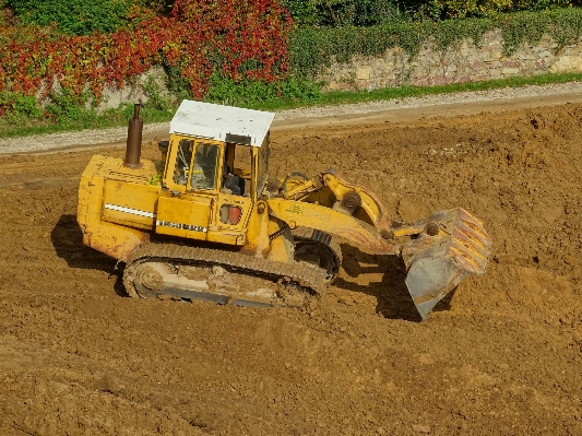 Work forest sand field Photo