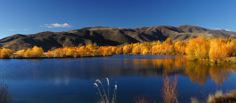 Paisaje árbol naturaleza desierto
