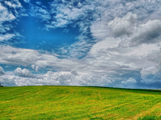 風景 自然 草 アウトドア 写真