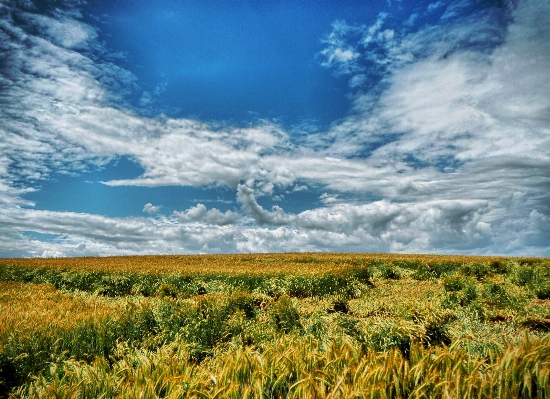 Landscape nature grass horizon Photo