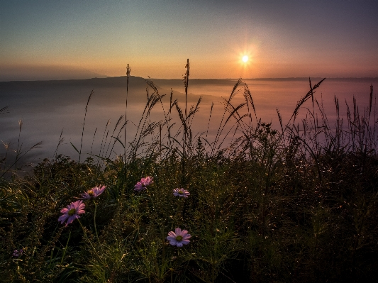 Sea coast nature horizon Photo