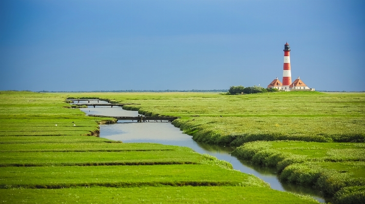 風景 海岸 草 地平線 写真