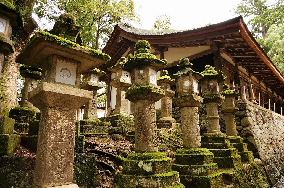 Edificio linterna jardín japón