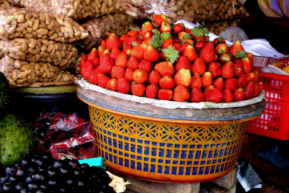 Tanaman buah kota dekorasi