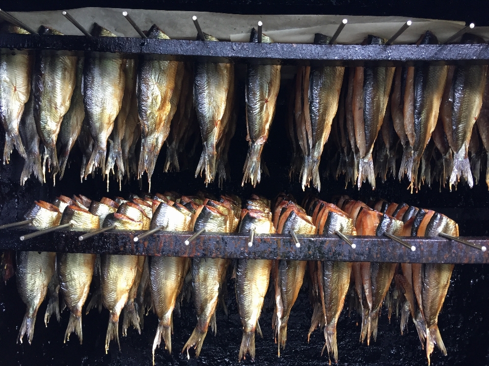 喫煙 食べ物 シーフード 魚