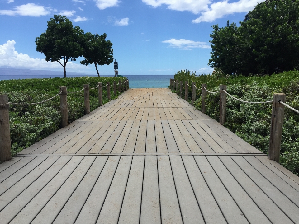 Strand natur weg draussen