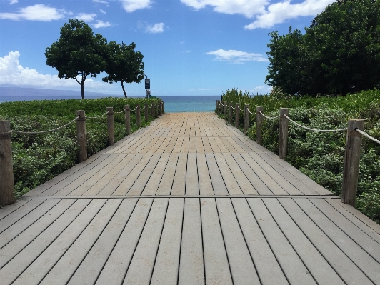 Beach nature path pathway Photo