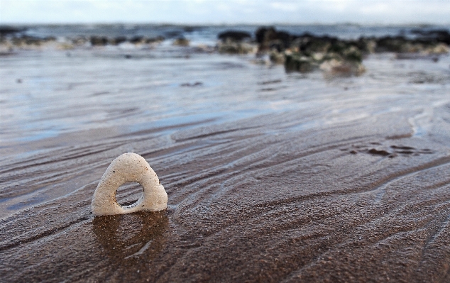 Beach landscape sea coast Photo