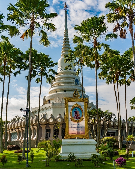 树 花 假期 旅行