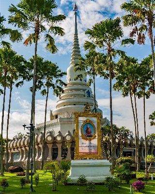 Foto Pohon bunga liburan bepergian