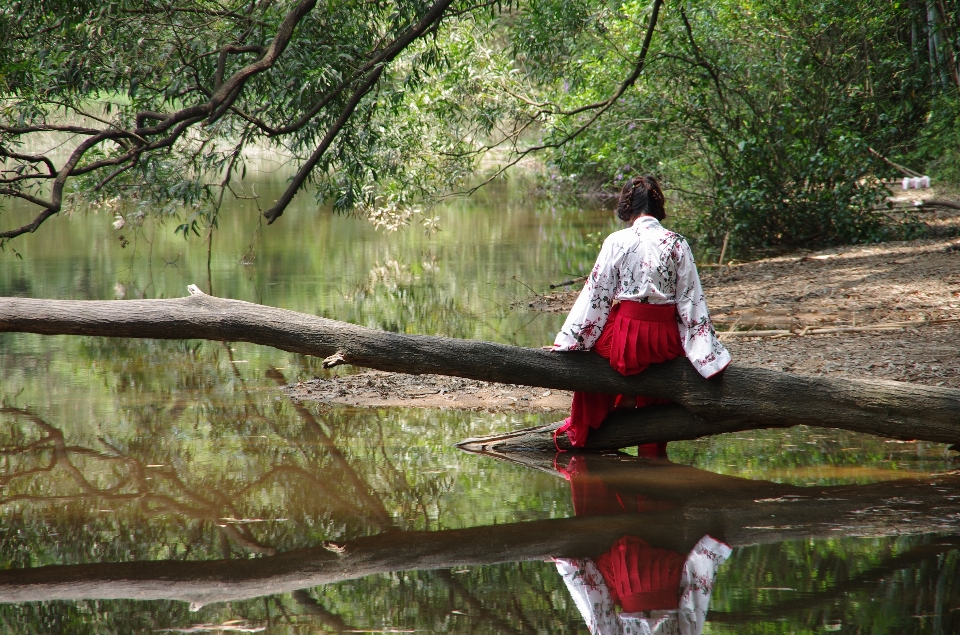 Albero foresta donna fiore