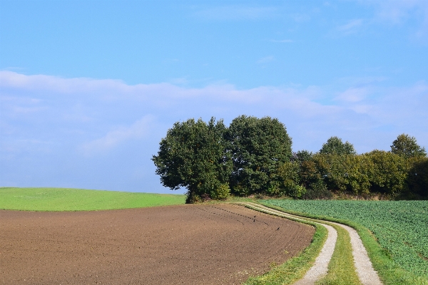 Landscape nature grass horizon Photo