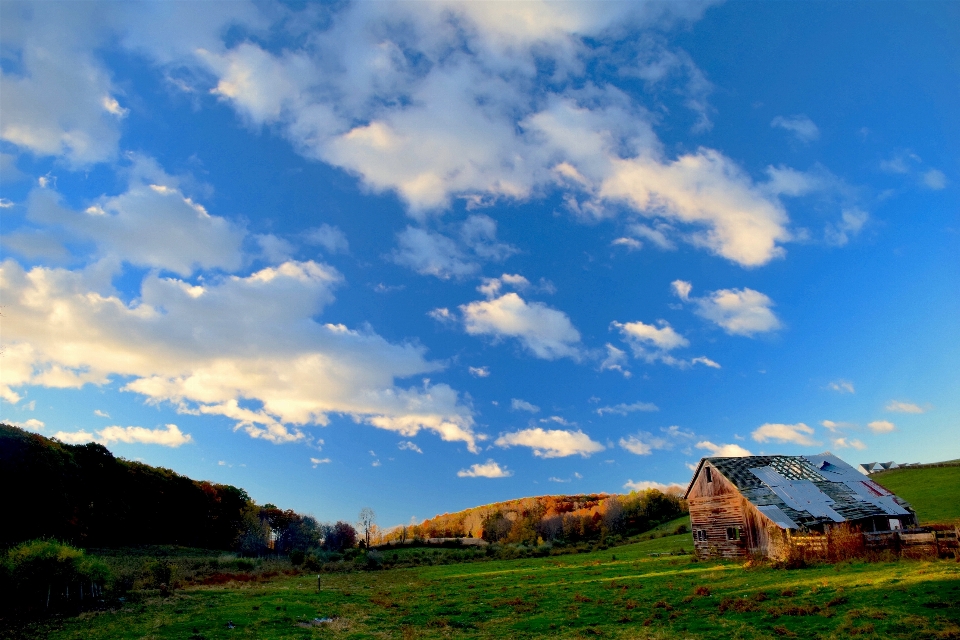 Landscape nature grass outdoor