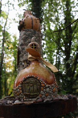 Foto Pohon hutan kayu rumah