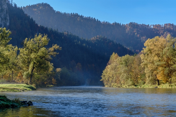 Landscape tree water nature Photo