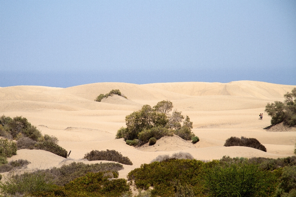 Playa paisaje arena desierto
