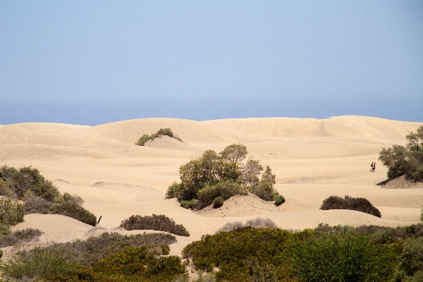 Beach landscape sand wilderness Photo