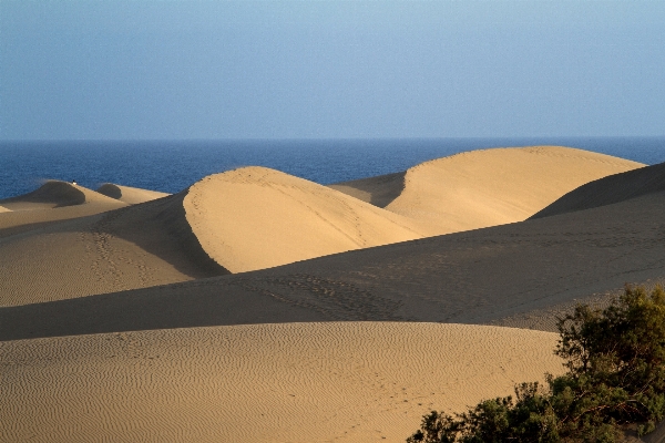 Beach landscape sea sand Photo