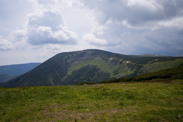 Landschaft natur wald weg Foto